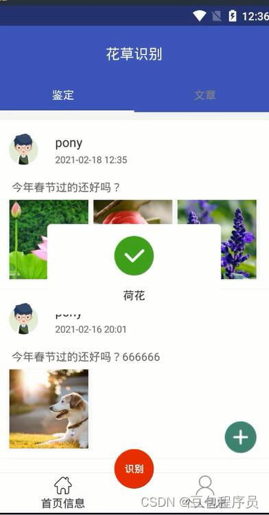 App的局限与未来展望