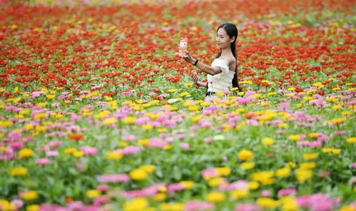 先来说说那美美的蝴蝶，它们喜欢什么样的花儿呢？
