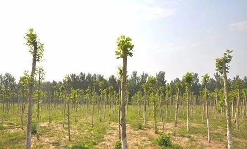 第一波：适应新环境， 轻松成长