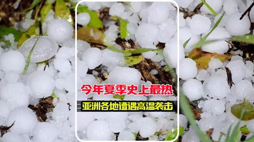 睡莲夏天为什么会死？高温和干旱是罪魁祸首吗