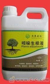 促进生根：萘乙酸与吲哚乙酸的对决