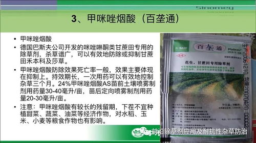 广谱还是选择性？除草剂的选择大揭秘