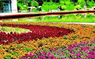 春天的绚烂色彩