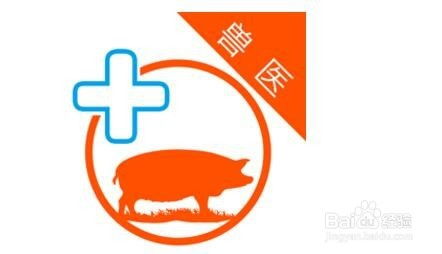 春季农业养殖，安全高效养殖策略