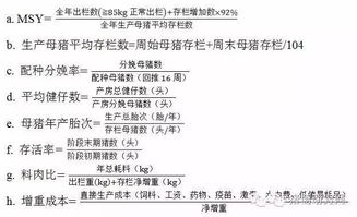 猪场管理10大要点，精炼必读