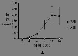 什么是羧酸酯酶