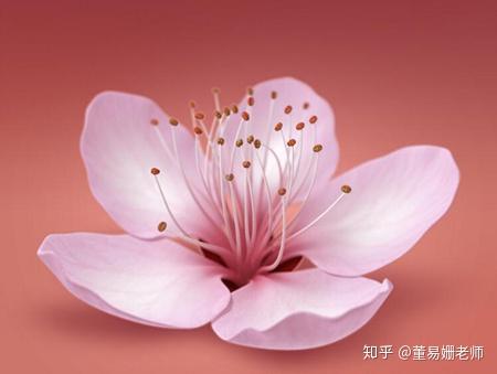 古代桃花的寓意与象征有哪些，其背后的文化背景又有哪些深刻含义呢