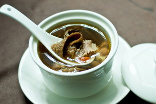 揭秘：如何制作出美味的老鸭茶油，让茶香四溢！