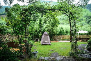 河北庭院种植适合的花树大盘点