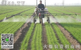 除草剂：乙草胺需谨慎