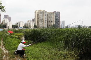 地产商与毒土地：风险与机遇