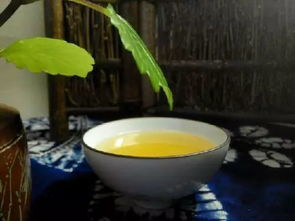 喝剩的茶水不嫩浇花