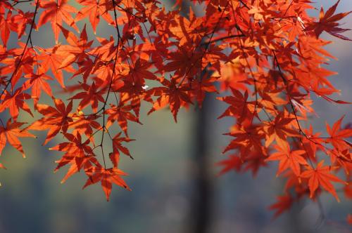 种植误区，小心避开