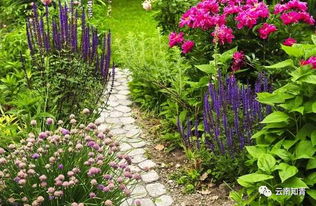 圣克鲁兹山区， 耐旱植物的宝库