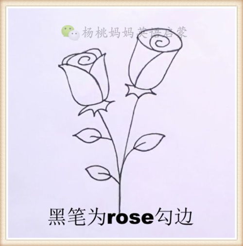 如何绘制逼真的玫瑰花？这几种玫瑰画法你get了吗