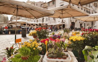 基地种植：精心照料， 鲜花不断