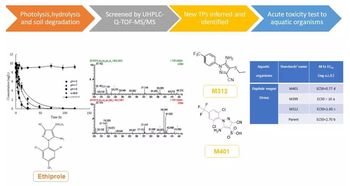 降解过程，就像变魔术一样