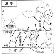 薄荷在什么样的土壤和气候条件下生长最为适宜呢