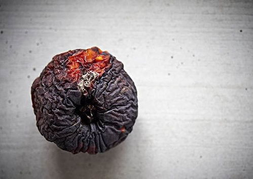 朱砂般红润，根茎为何得名