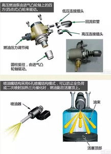 啥是高压静电打农药喷雾器，为啥要进口啊？