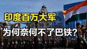 养猪秘诀：一法二料三管理