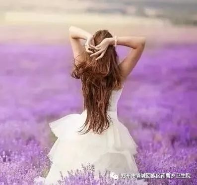 女生为什么偏爱薰衣草，它究竟有什么独特魅力和象征意义