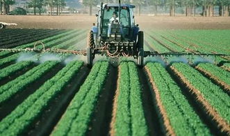 农药的残留与影响