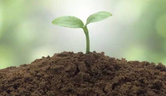 混合搭配， 乐趣无穷