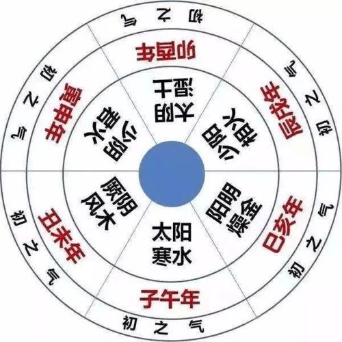 教槽时间多长才算科学？新手如何把握喂养黄金周期？