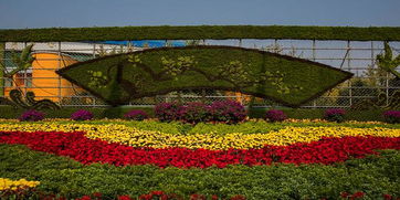 鄢陵县举办花博会， 提升城市形象