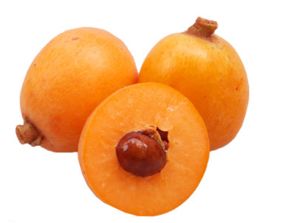 枇杷花，润肺止咳的良药