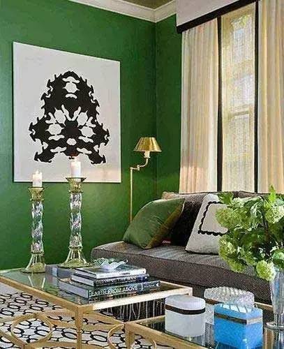 冷色系植物的魔法