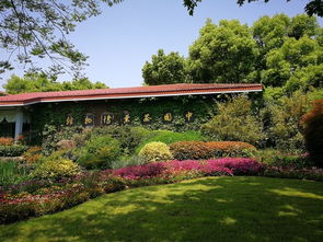 晨曦花谷， 希望与美丽的启航