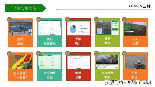 “智慧林，你从哪里来