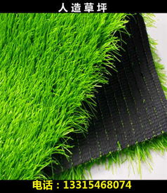 省钱方案：三大对比