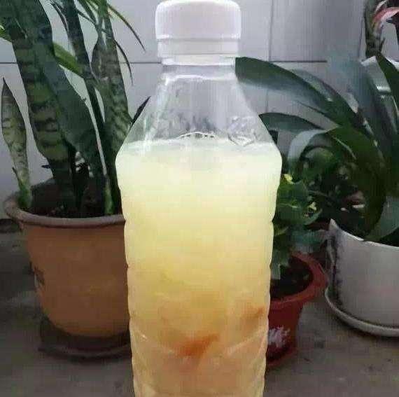 稀释比例，精准控制营养液浓度