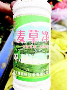 土壤污染， 水稻受害