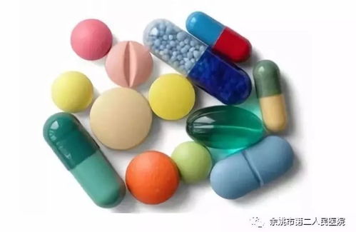 四季放牧， 各有妙处