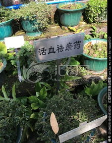 原生植物群落的价值