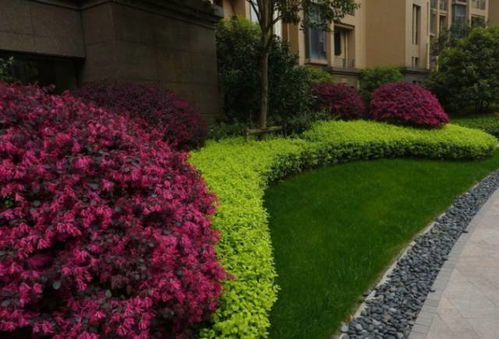 色彩的面积感，就像是个魔术师的手