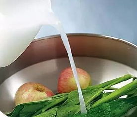 小黑虫的恶行， 豇豆的噩梦