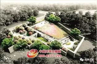 邀请城市展区：展示地域历史文化特色