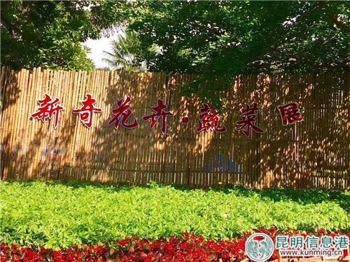 奇花异草， 令人称奇