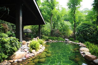 我家后院那点事儿， 说说咋整得漂亮又实用