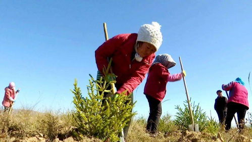 森源苗木：绿色发展，绿色希望