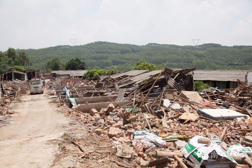 鹤地水库周边养猪场5月底前完成拆迁