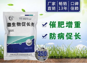 养鸭子最好的饲料是什么？有没有推荐的优质饲料品牌？