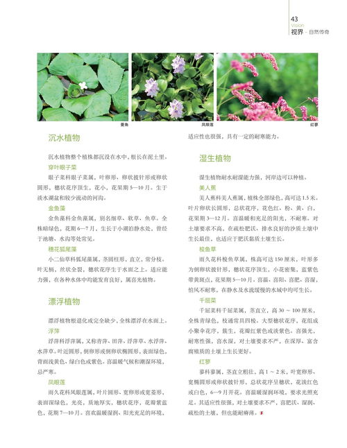 两个实验的奇妙联系