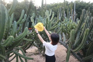 种植避坑小技巧， 让你种啥啥活