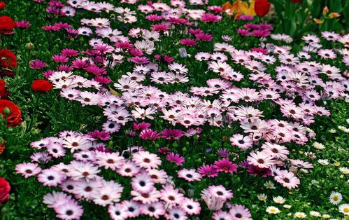 市场行情，得堪仔细